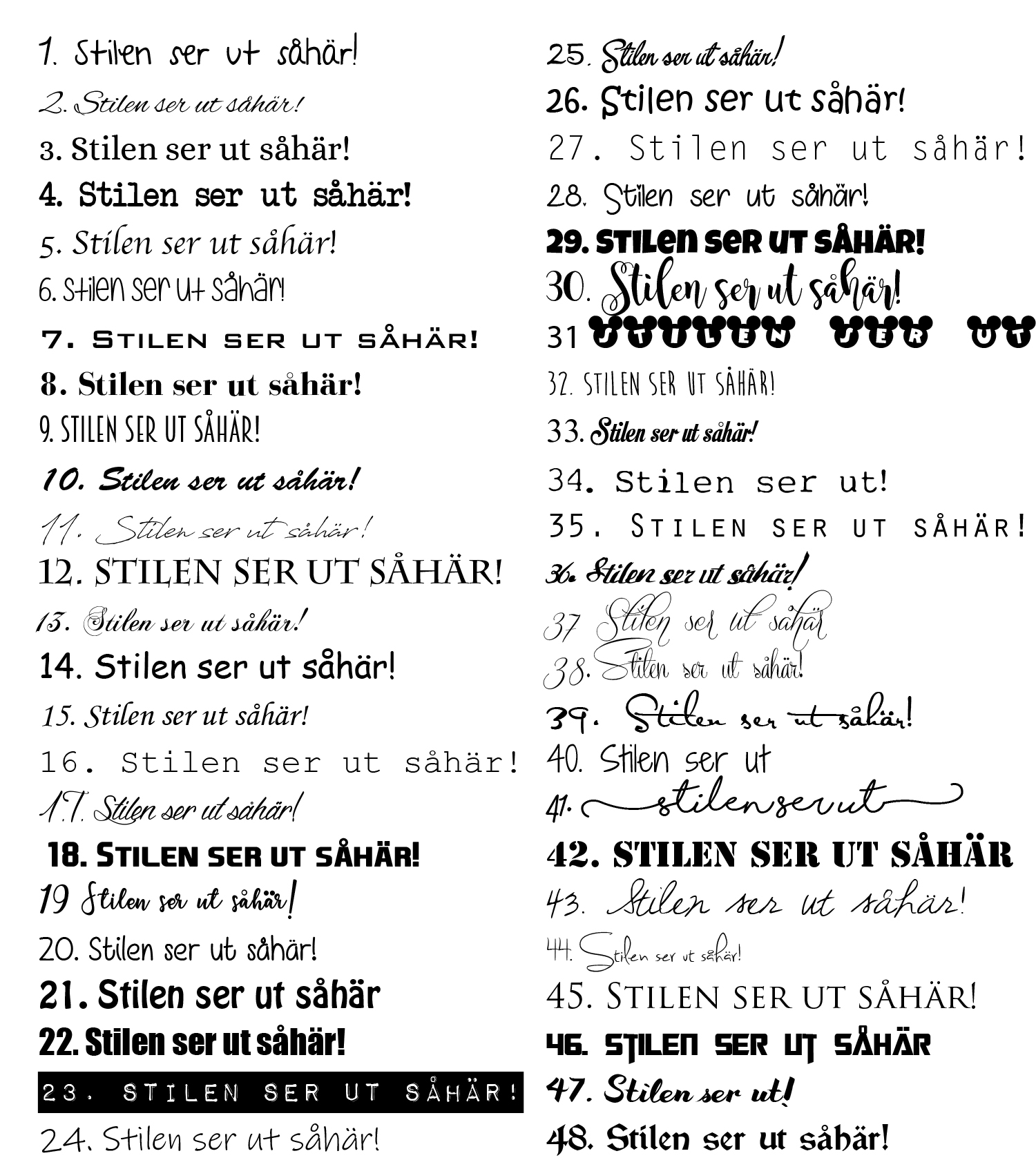 Tävlingspärm Svenska Biewerterrierklubben - 5