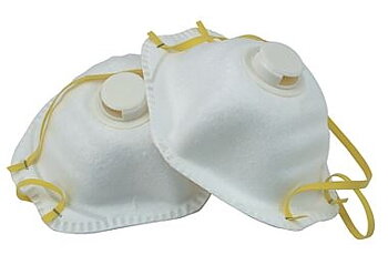 Beast Dammskyddsmask 2-pack | BST-772120 | Förbrukningsvaror |