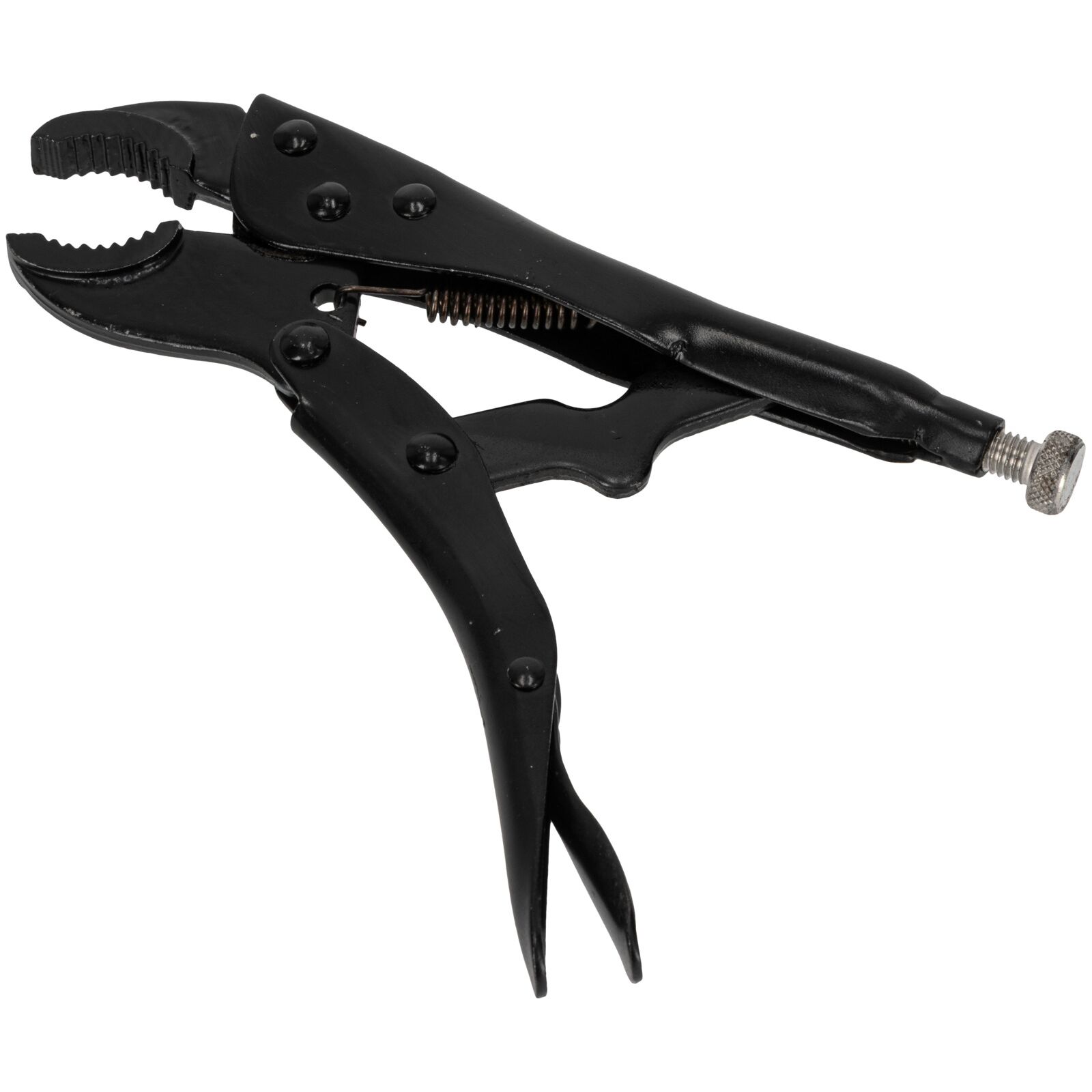 PROLINE TOOLS Låstång 180 mm, Rundkäftar, Svart, Nickelförzinkad Justeringsskruv, Proline - 2