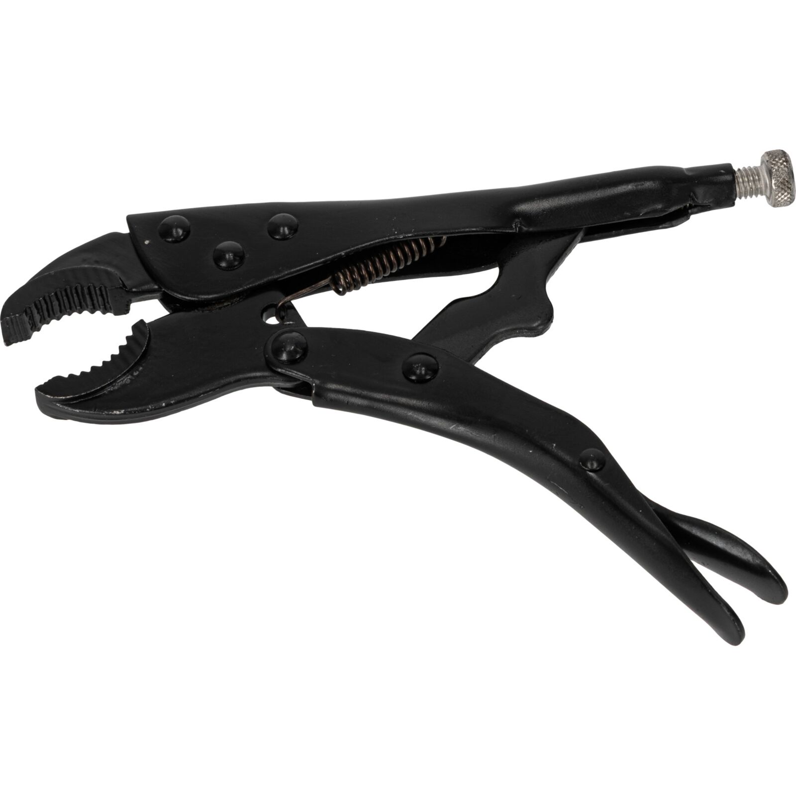 PROLINE TOOLS Låstång 180 mm, Rundkäftar, Svart, Nickelförzinkad Justeringsskruv, Proline - 3