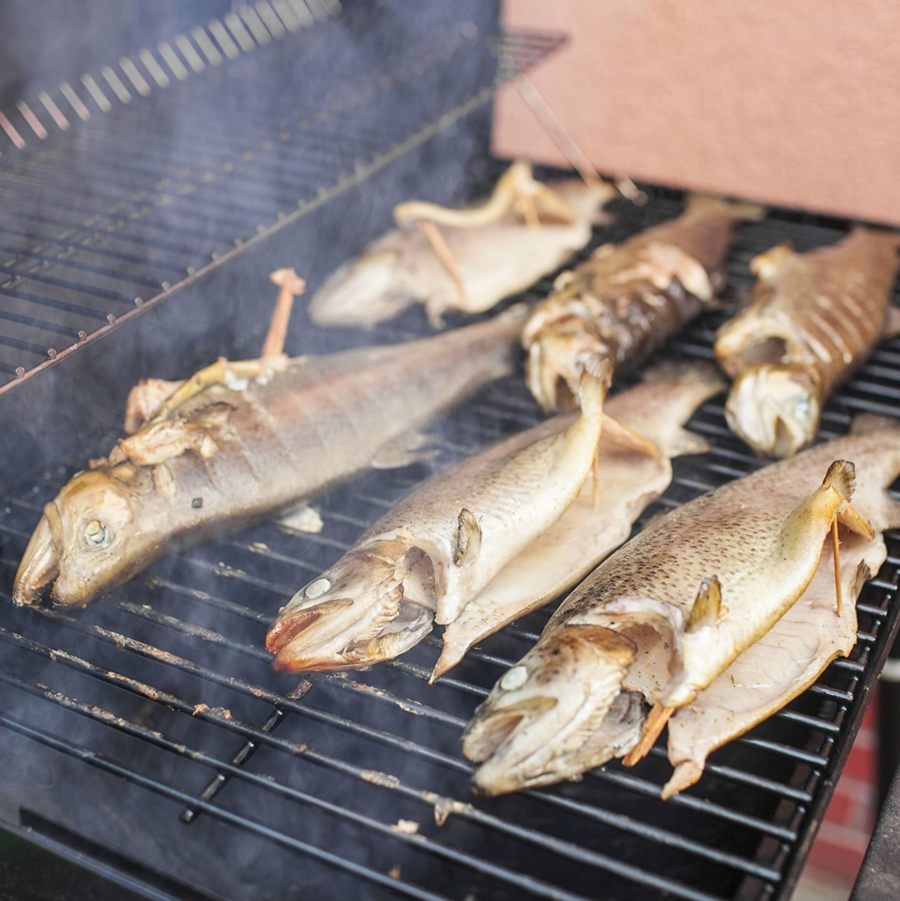 Grill- och rökspån mix, flis för rökar - alspån, bokspån, körsbärsspån, plommonspån - 8