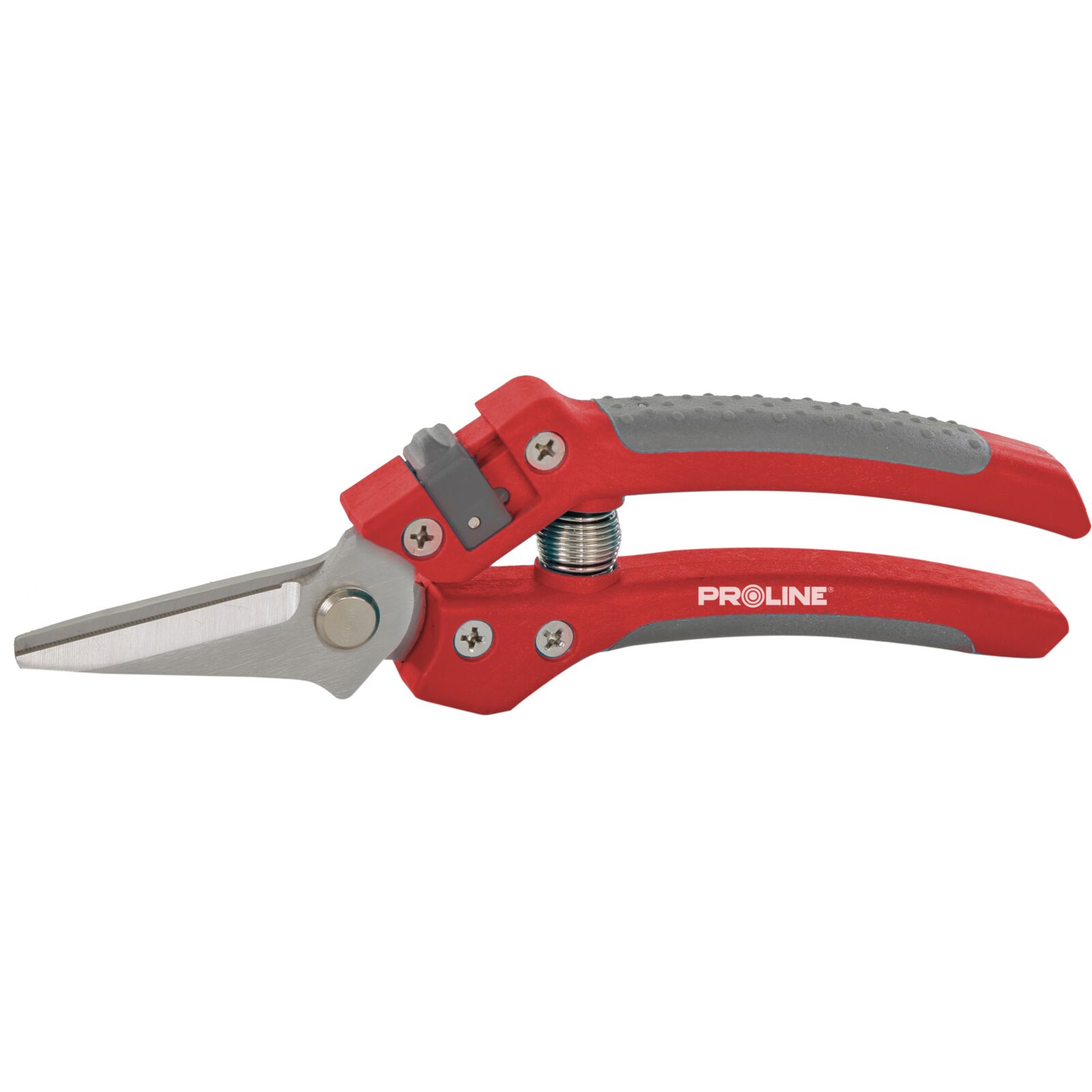 PROLINE TOOLS Premium Handbeskärare för Blommor, Inox, 8, Soft Touch, Proline