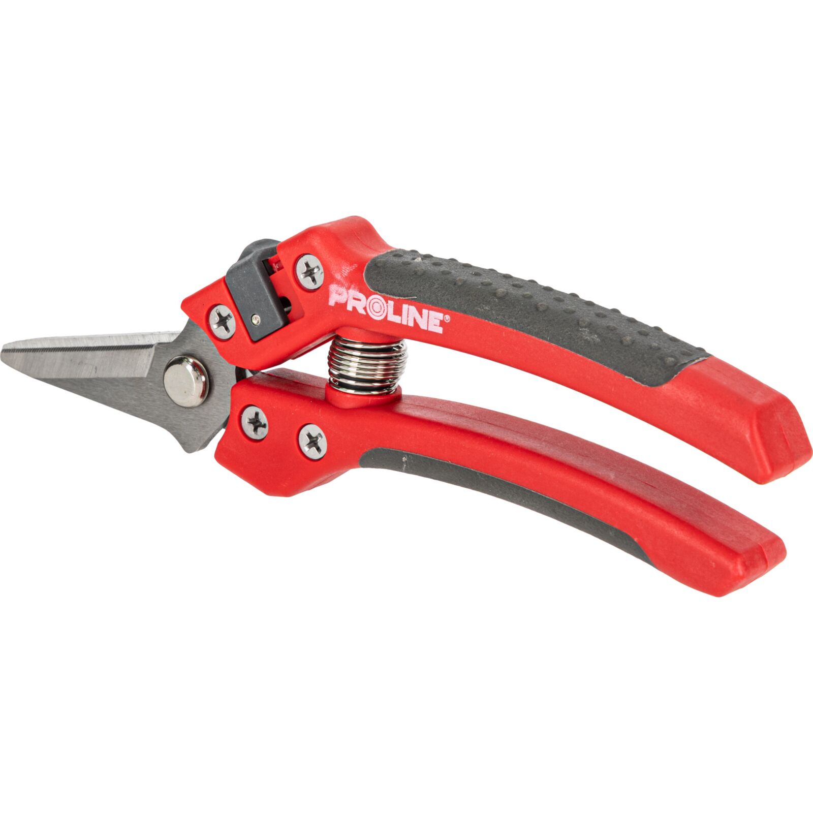PROLINE TOOLS Premium Handbeskärare för Blommor, Inox, 8, Soft Touch, Proline - 3