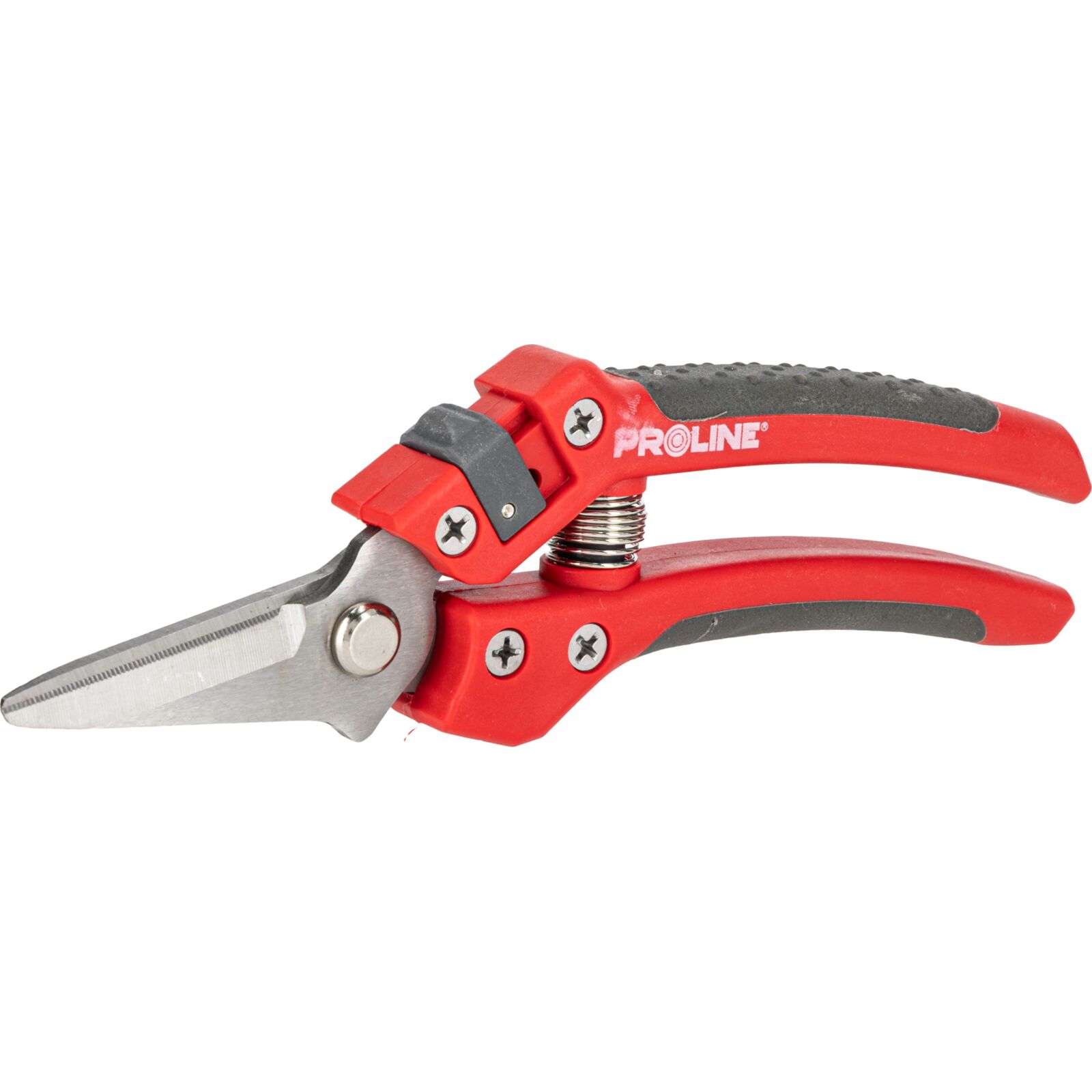 PROLINE TOOLS Premium Handbeskärare för Blommor, Inox, 8, Soft Touch, Proline - 2