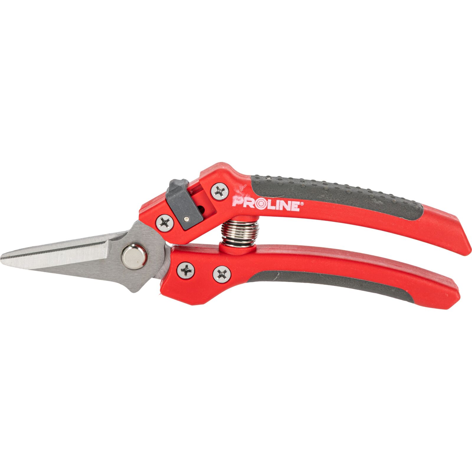 PROLINE TOOLS Premium Handbeskärare för Blommor, Inox, 8, Soft Touch, Proline - 4