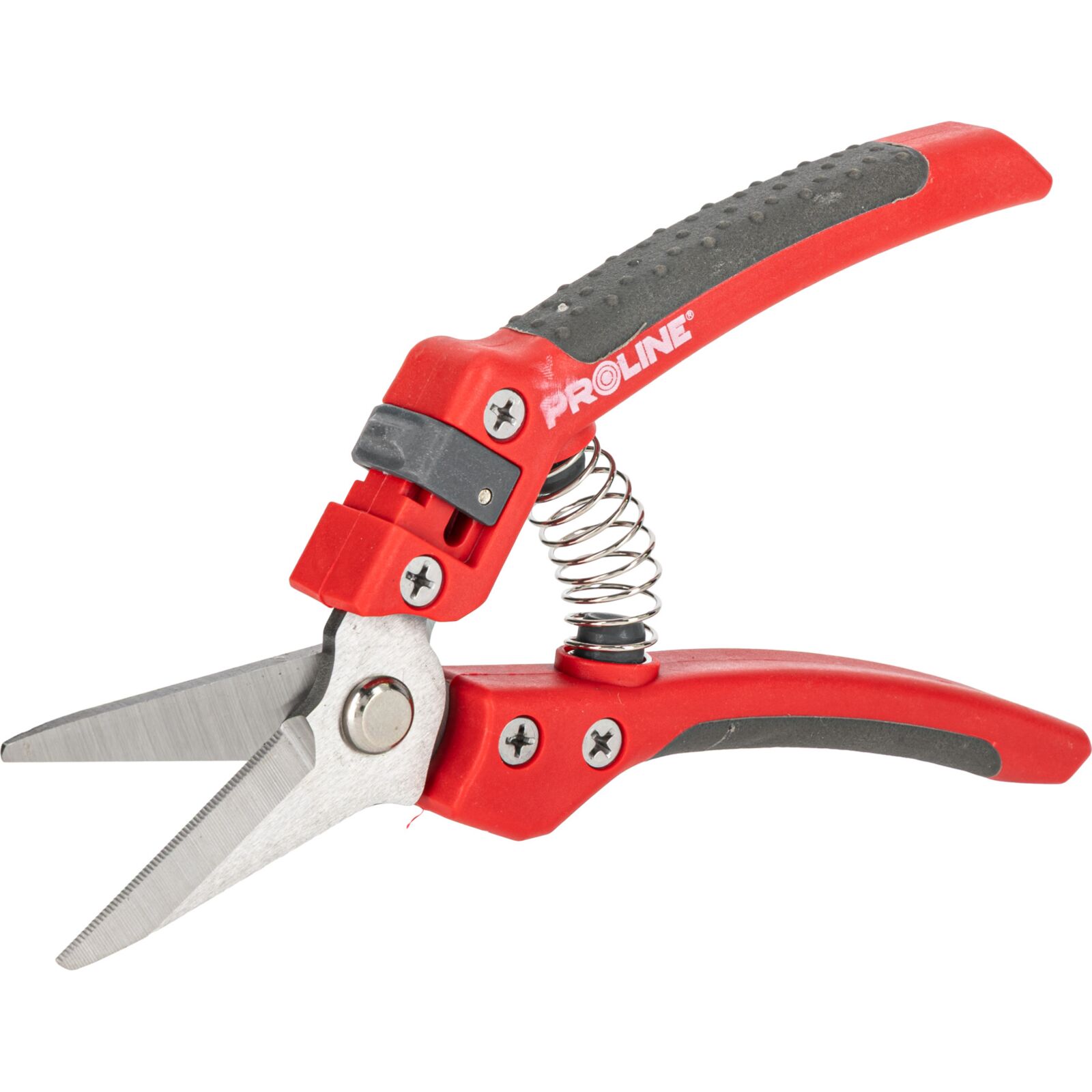 PROLINE TOOLS Premium Handbeskärare för Blommor, Inox, 8, Soft Touch, Proline - 6