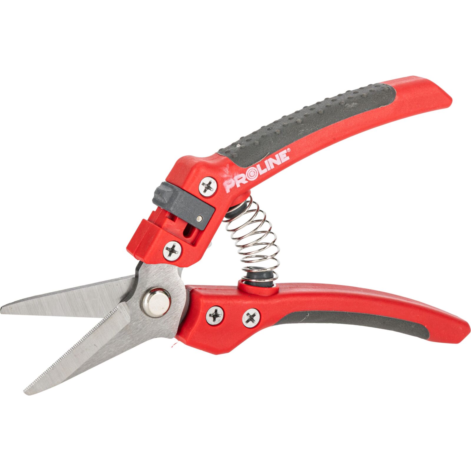 PROLINE TOOLS Premium Handbeskärare för Blommor, Inox, 8, Soft Touch, Proline - 5