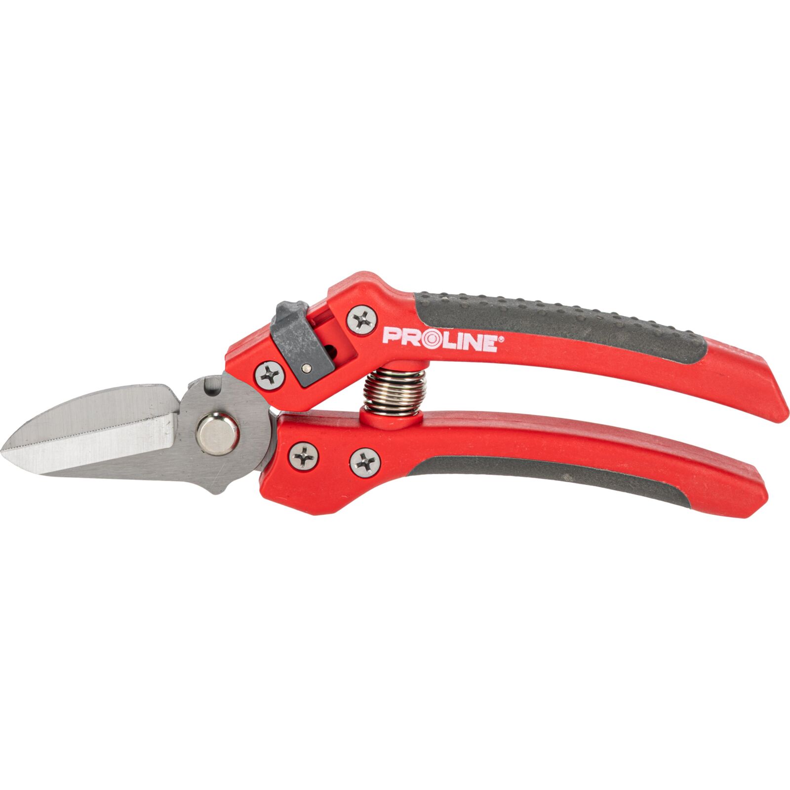 PROLINE TOOLS Premium Handbeskärare för Blommor, Inox, 8, Soft Touch, Proline - 4