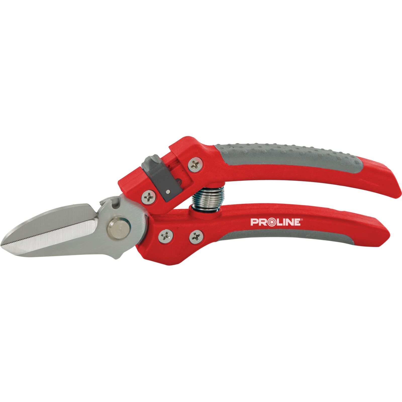 PROLINE TOOLS Premium Handbeskärare för Blommor, Inox, 8, Soft Touch, Proline
