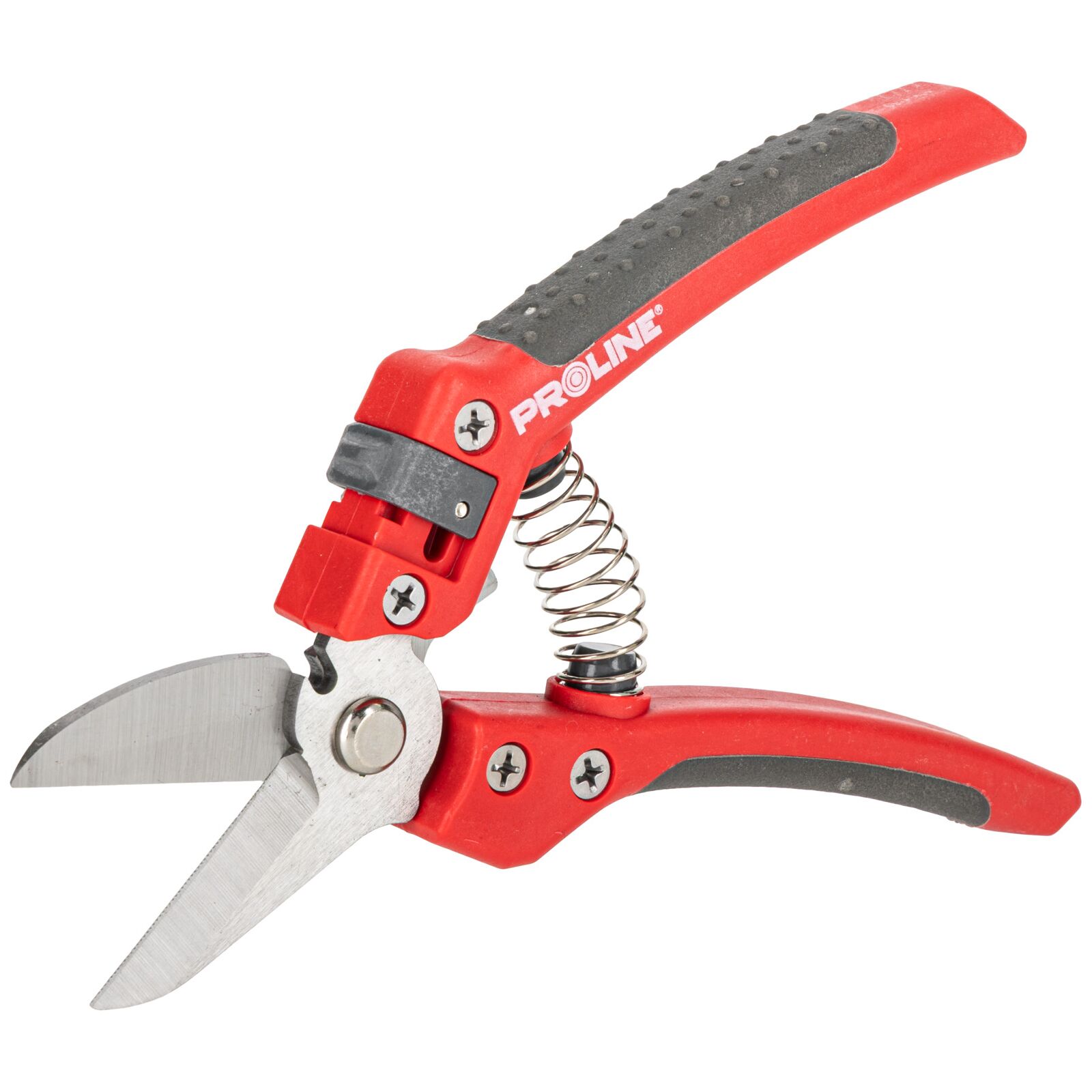 PROLINE TOOLS Premium Handbeskärare för Blommor, Inox, 8, Soft Touch, Proline - 6