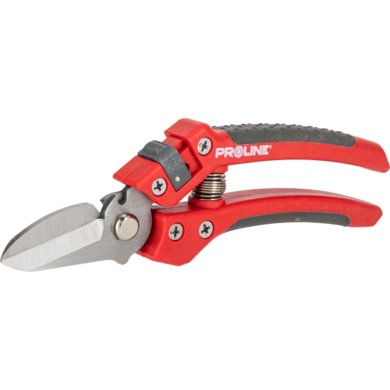 PROLINE TOOLS Premium Handbeskärare för Blommor, Inox, 8, Soft Touch, Proline - 2