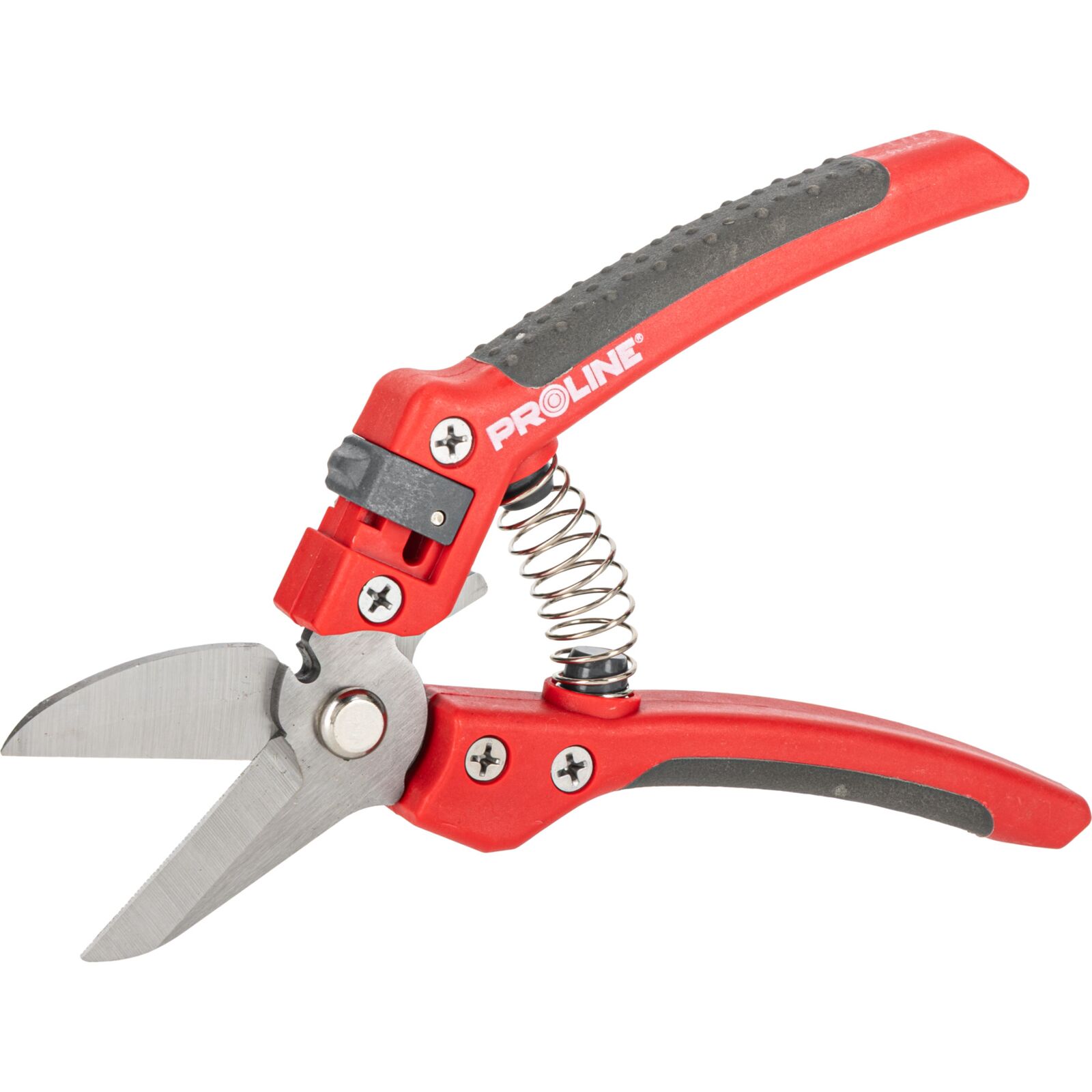 PROLINE TOOLS Premium Handbeskärare för Blommor, Inox, 8, Soft Touch, Proline - 5