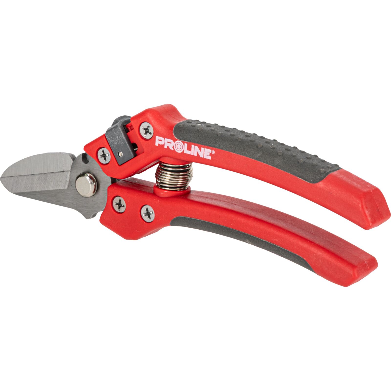 PROLINE TOOLS Premium Handbeskärare för Blommor, Inox, 8, Soft Touch, Proline - 3