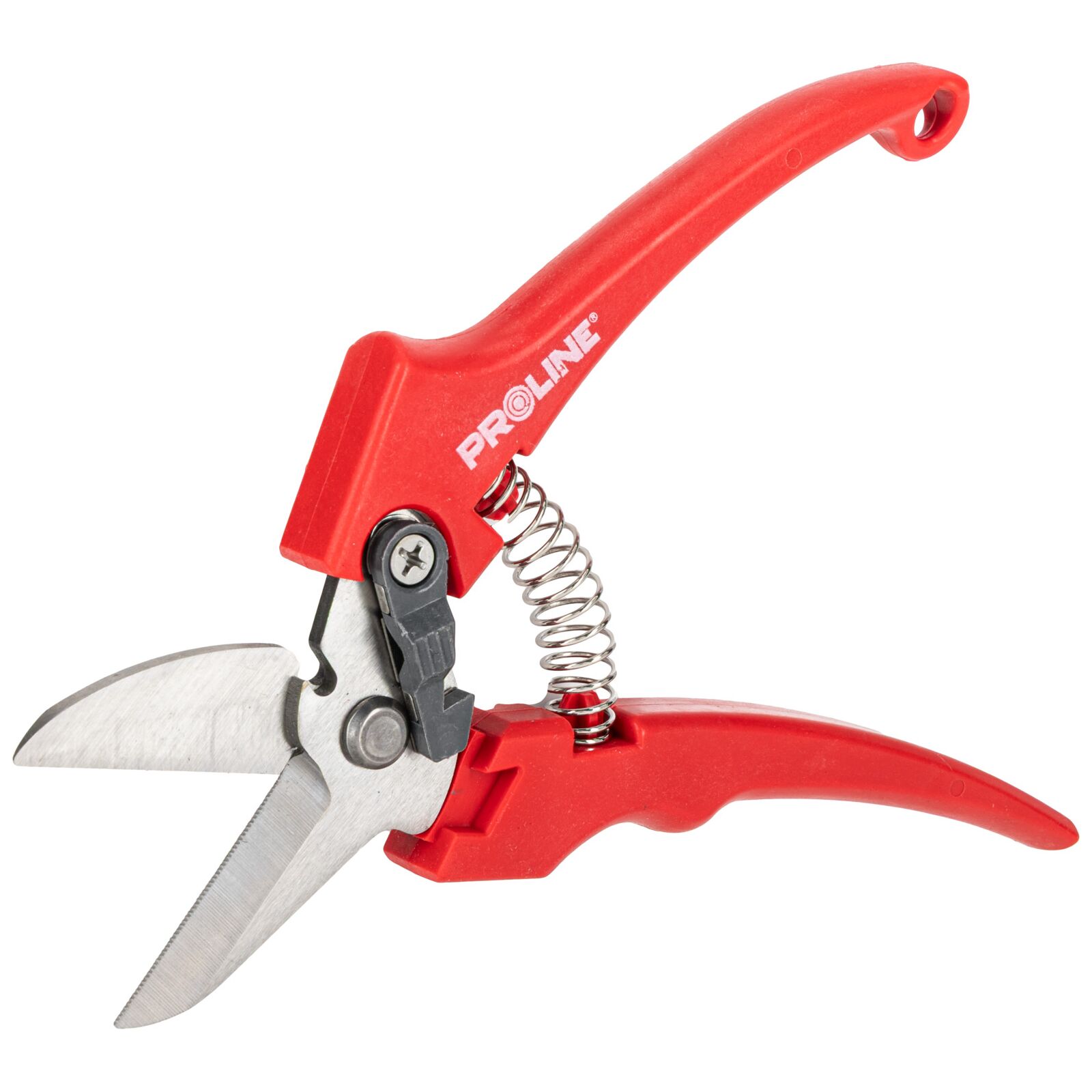 PROLINE TOOLS Premium Handbeskärare för Blommor, Inox, 8, Proline - 6