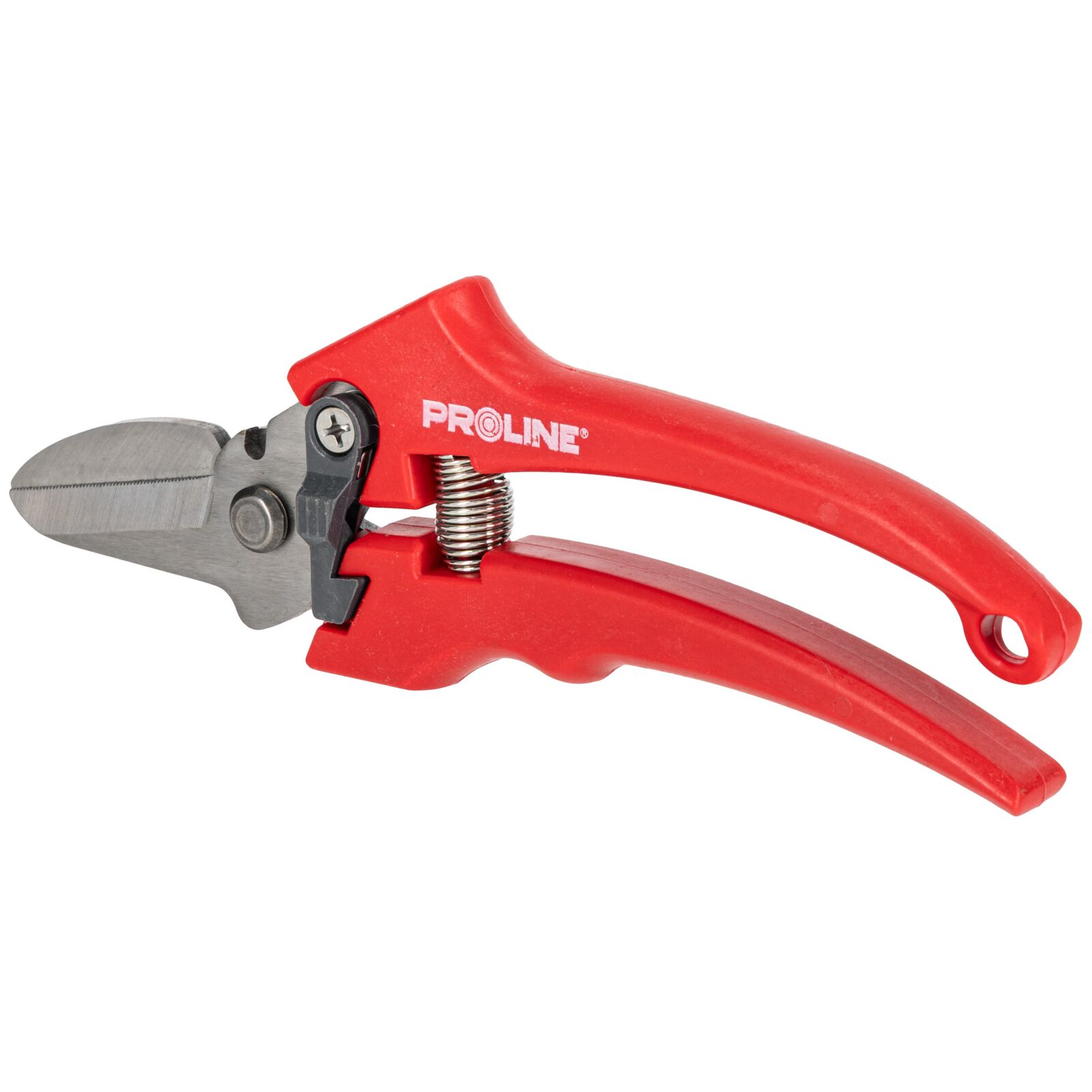 PROLINE TOOLS Premium Handbeskärare för Blommor, Inox, 8, Proline - 4