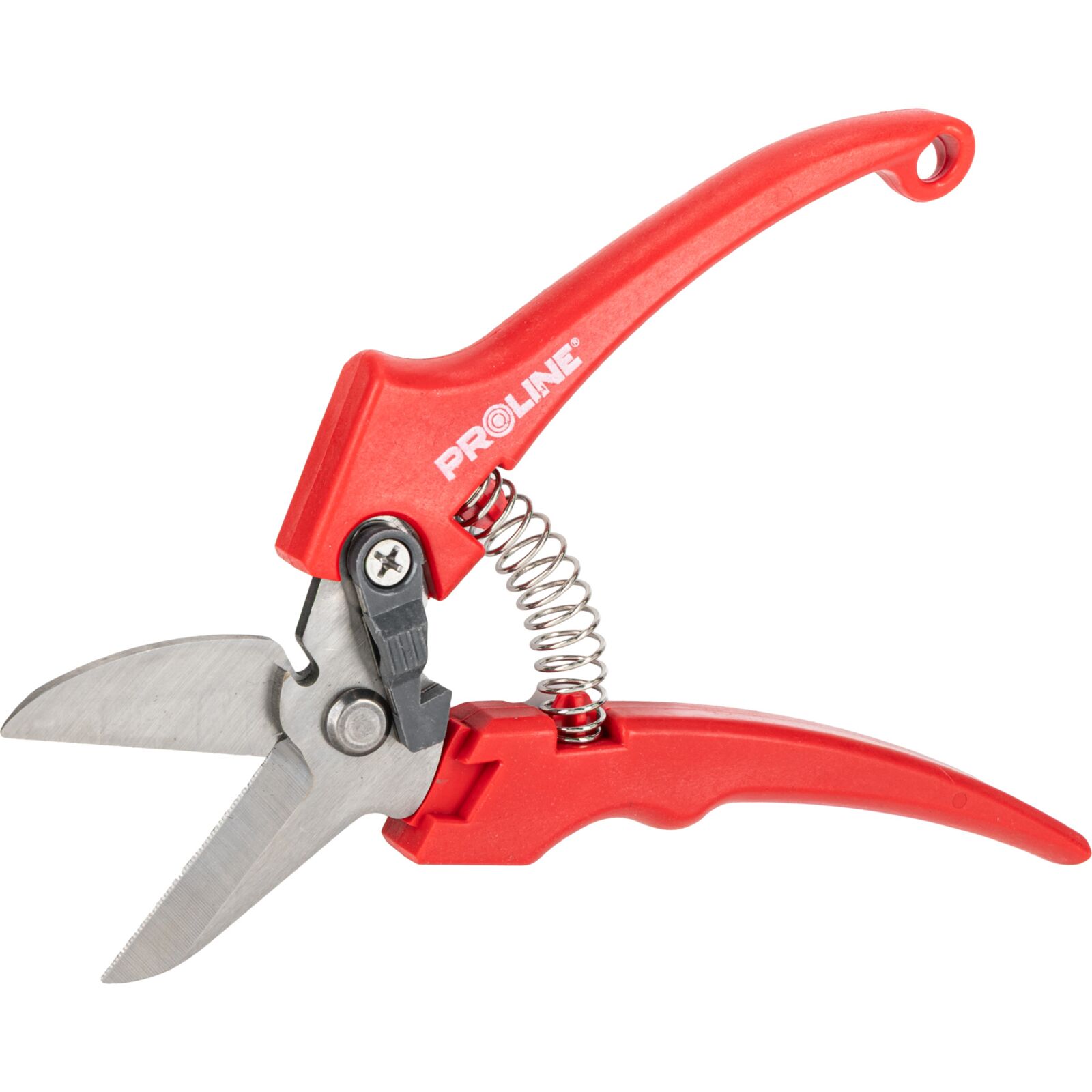 PROLINE TOOLS Premium Handbeskärare för Blommor, Inox, 8, Proline - 5
