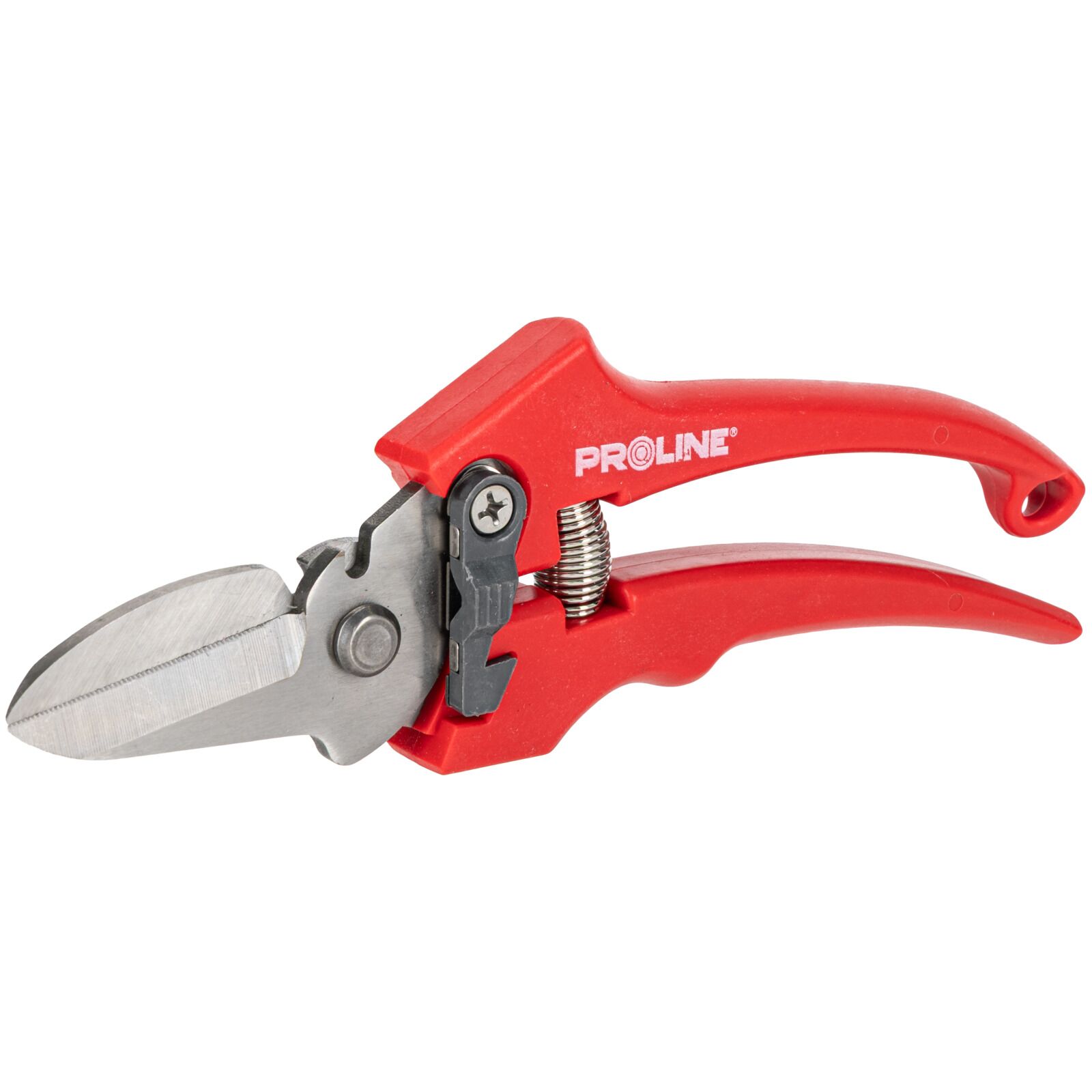 PROLINE TOOLS Premium Handbeskärare för Blommor, Inox, 8, Proline - 3