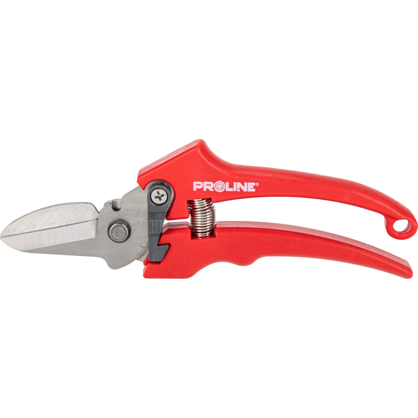 PROLINE TOOLS Premium Handbeskärare för Blommor, Inox, 8, Proline - 2