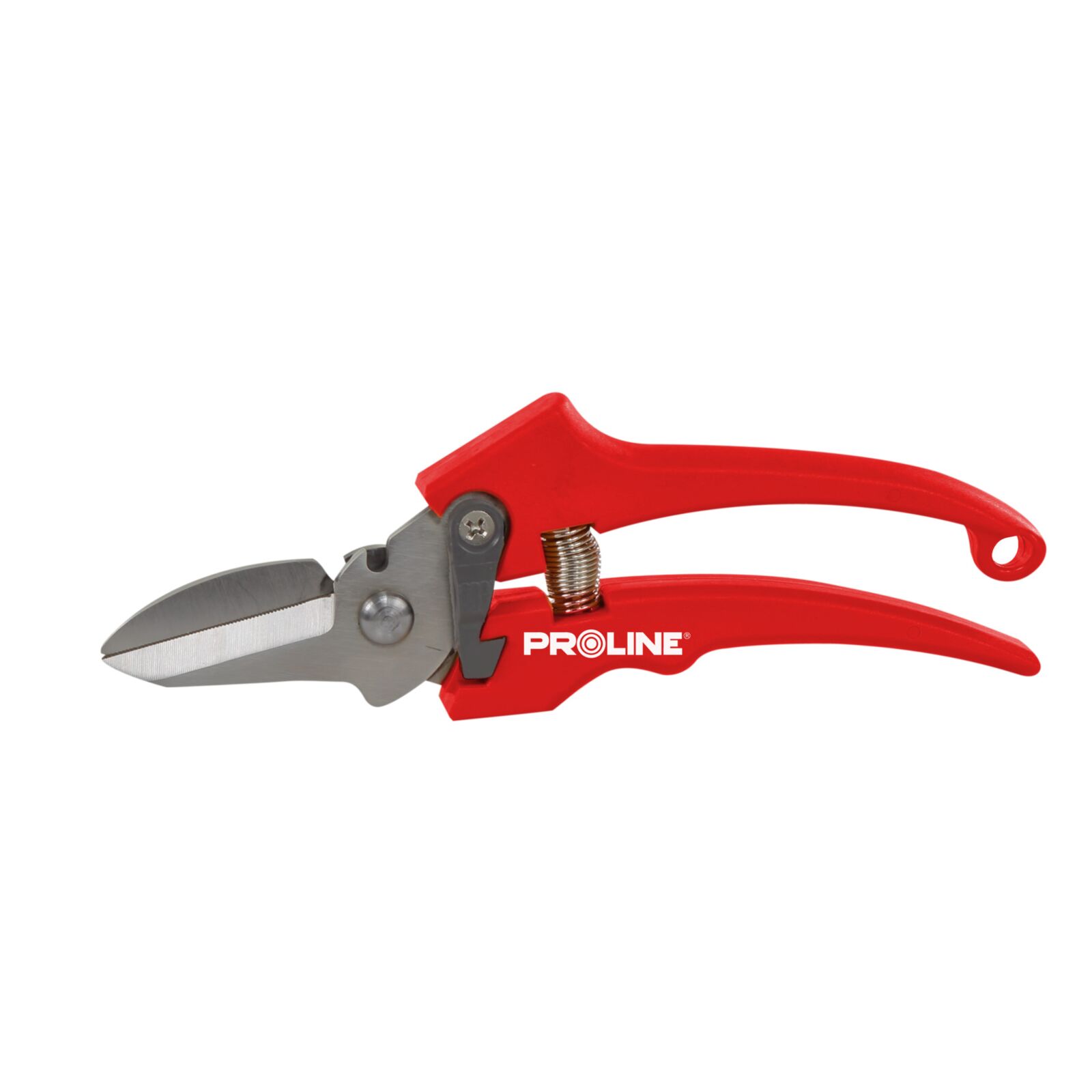 PROLINE TOOLS Premium Handbeskärare för Blommor, Inox, 8, Proline