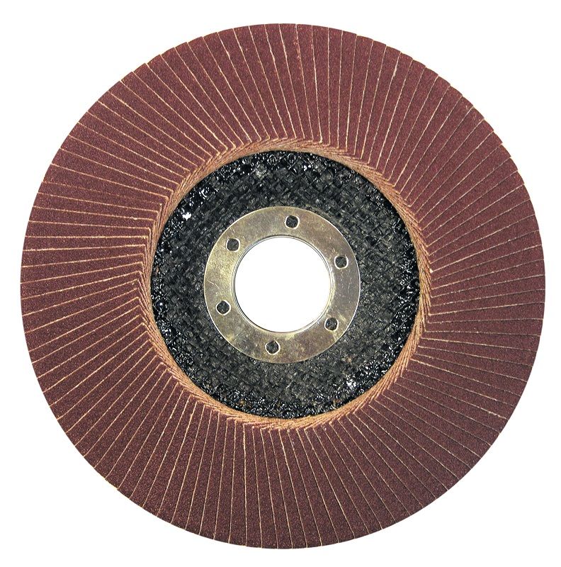 PROLINE TOOLS Flap Hjul av Aluminiumoxid A40, 125 x 22 mm, Proline