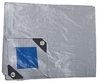 PROLINE TOOLS Tarp 110g/m², 6 x 10m, Proline
