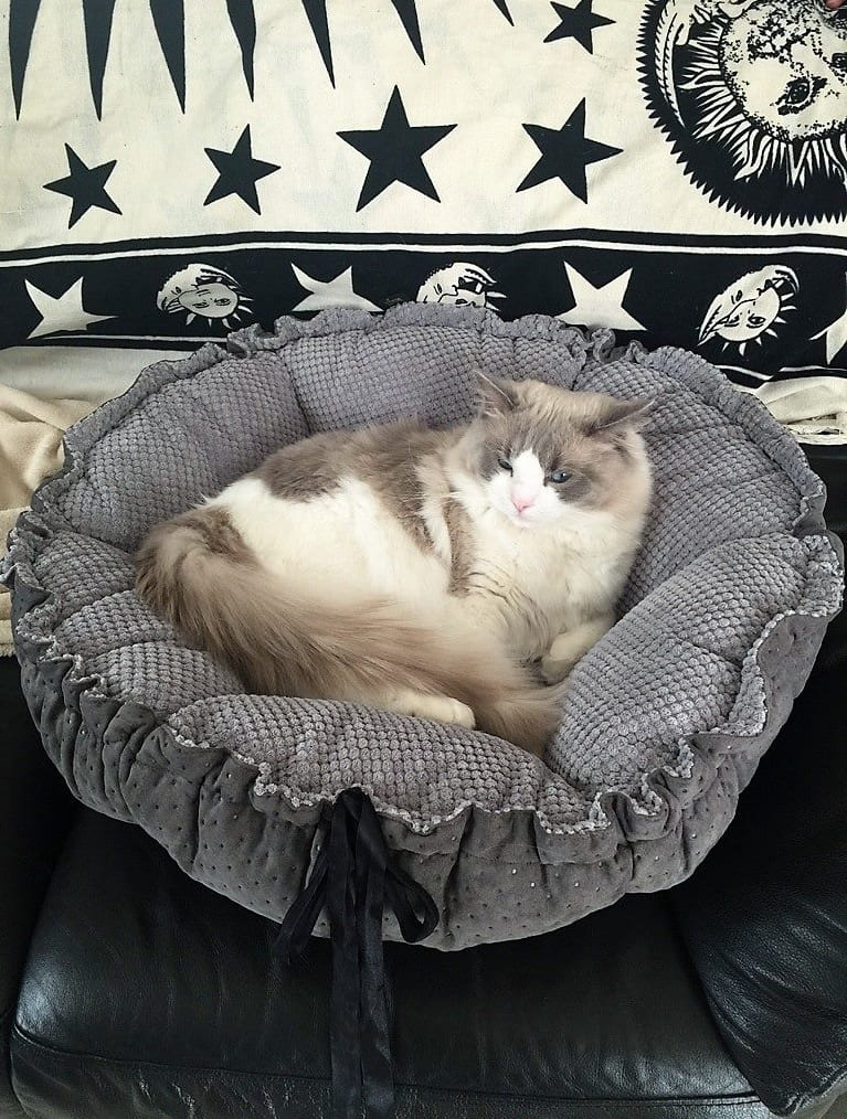 Lauren Design Hundbädd, kattbädd, lyxig kudde DAISY - 19