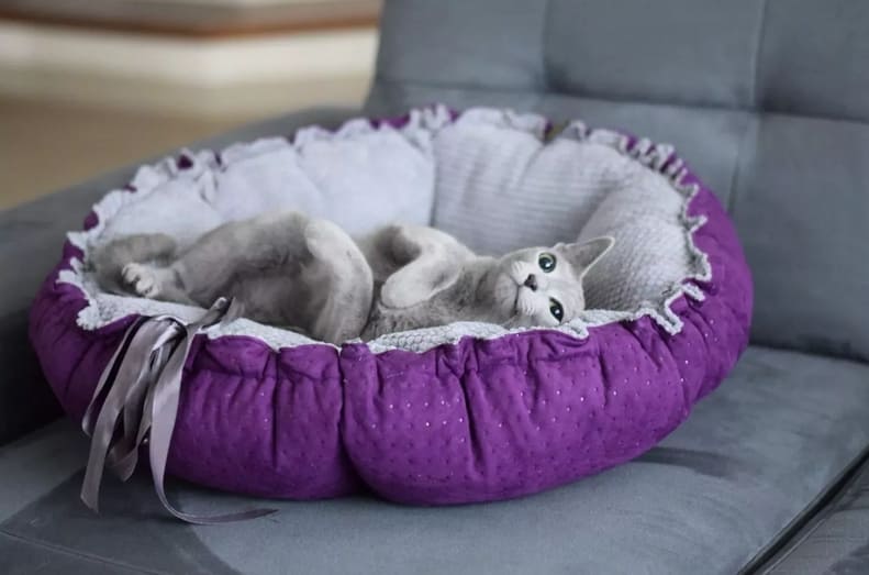 Lauren Design Hundbädd, kattbädd, lyxig kudde DAISY - 12