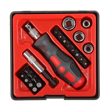 PROLINE TOOLS Magnetiskt hylshandtag med bits och hylsor, 22 delar, Proline