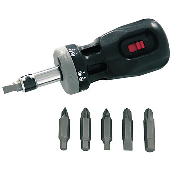PROLINE TOOLS Skruvmejsel med spärr 12-i-1, Proline