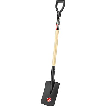 PROLINE TOOLS Rak Spade med Trähandtag 1150 mm, Proline