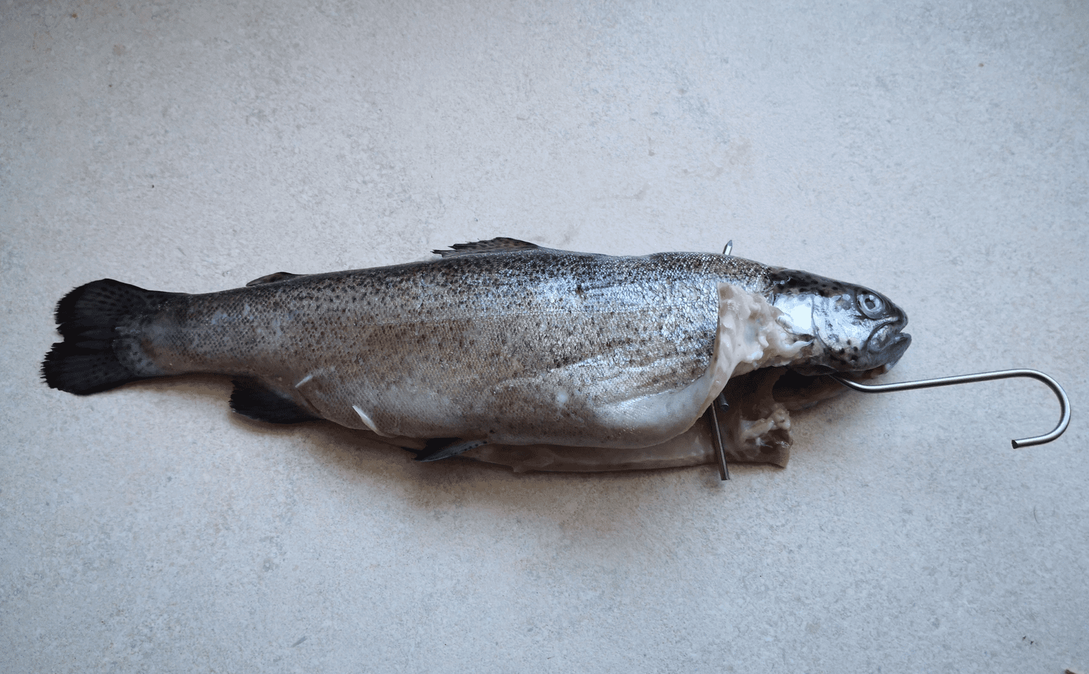Rökkrokar för fisk, 10st specialutformade krokar i rostfritt stål - 7