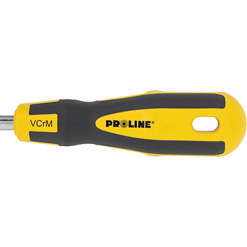 PROLINE TOOLS Skruvmejsel TORX Security (med hål) T10-T40100 mm, Magnetisk, Soft-Touch, CrV Mo, Proline (Torx storlek (T) : T15)
