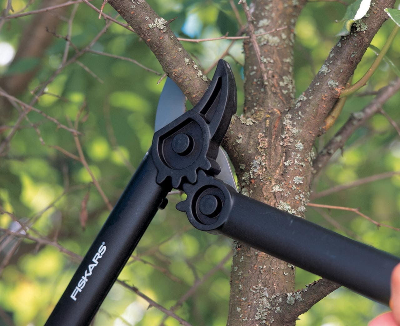 Profix Sekatör 400 mm, med LED, Fiskars - 4
