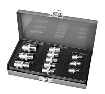 PROLINE TOOLS TORX Hylssats 11 Delar - 1/4, 3/8, 1/2, TORX E4-E20, Proline