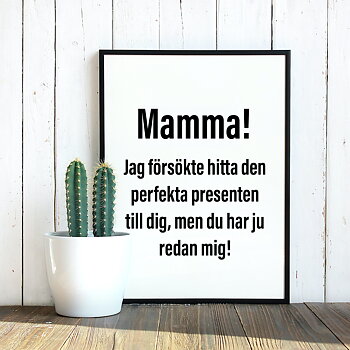 Mamma! Jag försökte hitta den perfekta presenten poster