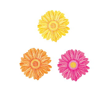 Blommor i 3 färger Wallies 