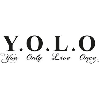 Y.O.L.O Väggord