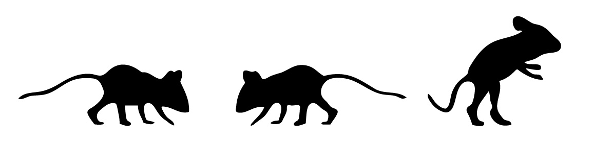 3 st Möss Väggdekor - 2