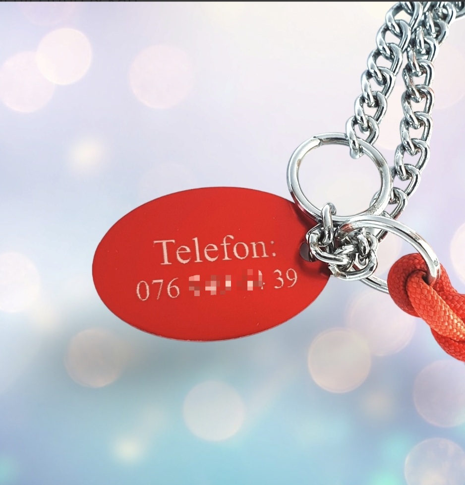 Valfri text 2 sidor Namnbricka i metall till Hund & katt - 4