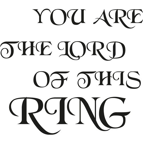You are the lord of this ring Väggord - 2