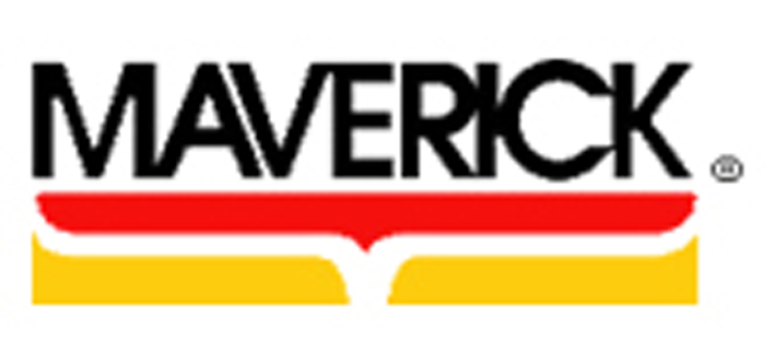 Maverick ET-733 dual probe termometer, vit - 3