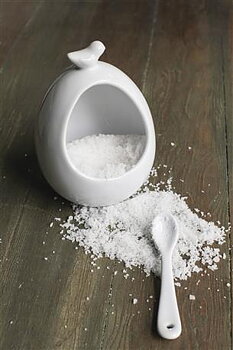 Saltkar fågelbo