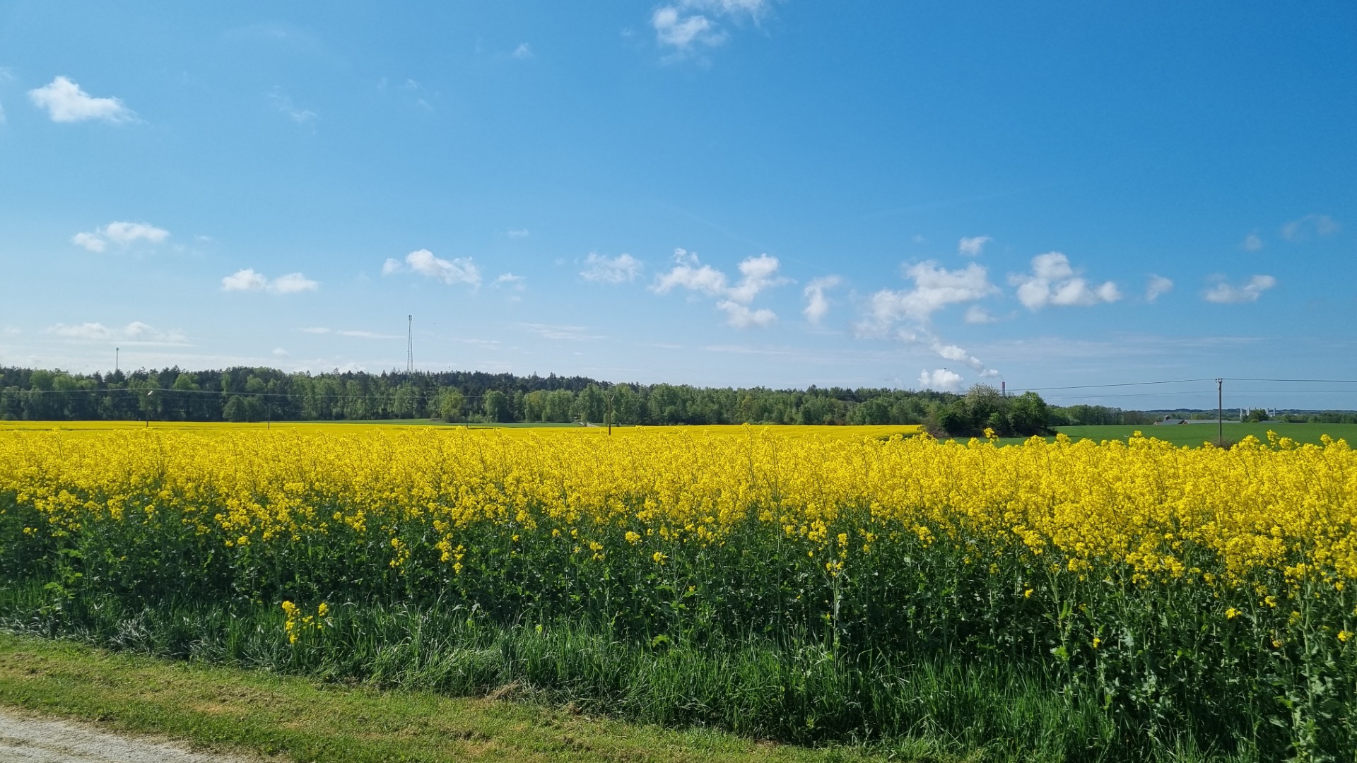 Värö Lantmän Butiken för alla 