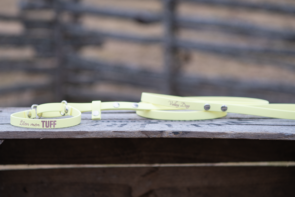 All-in-one-leash in BioThane Beta® - 2