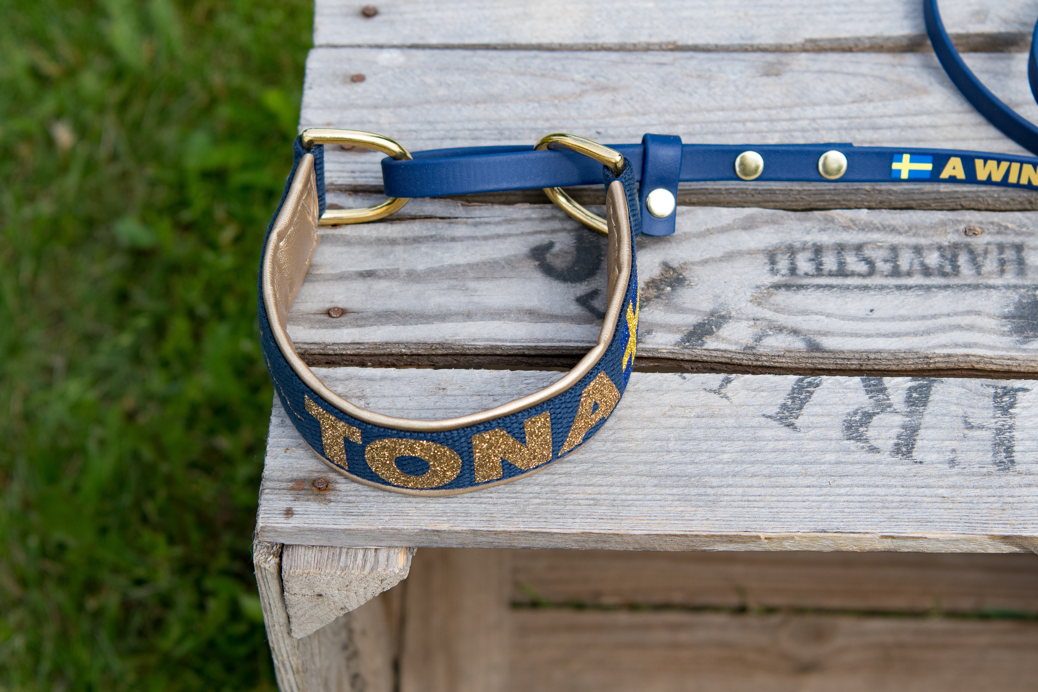 Allt-i-ett-koppel med 4 cm bomullshalsband - 2