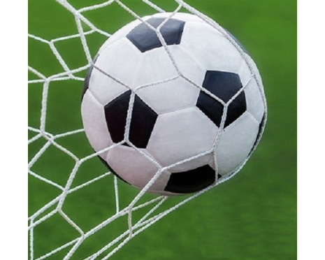 Fotbollsnät 5x2m  7-manna vit