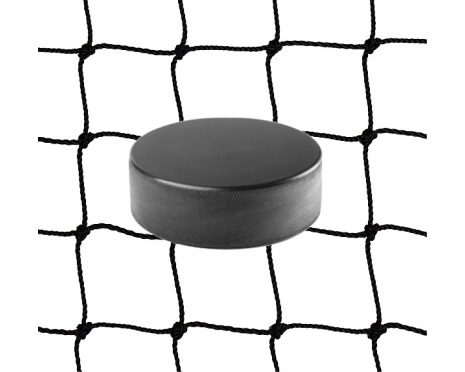 Hockey nät 8x3m, nylon 2mm