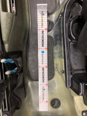 Mätsticka för enkel mätning av fisk - 55cm med dekal