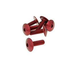 Skruvkit 6st till kåpor M6x20