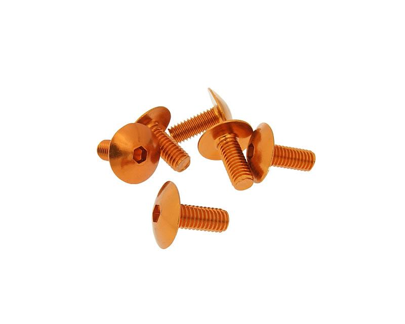 Skruvkit 6st till kåpor M6x15 - 4